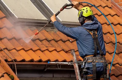 Démoussage et hydrofuge de toiture à Genod